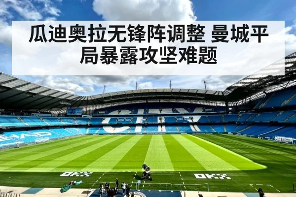 Manchester City football